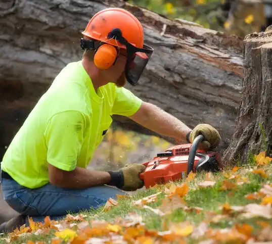 tree services Ravena